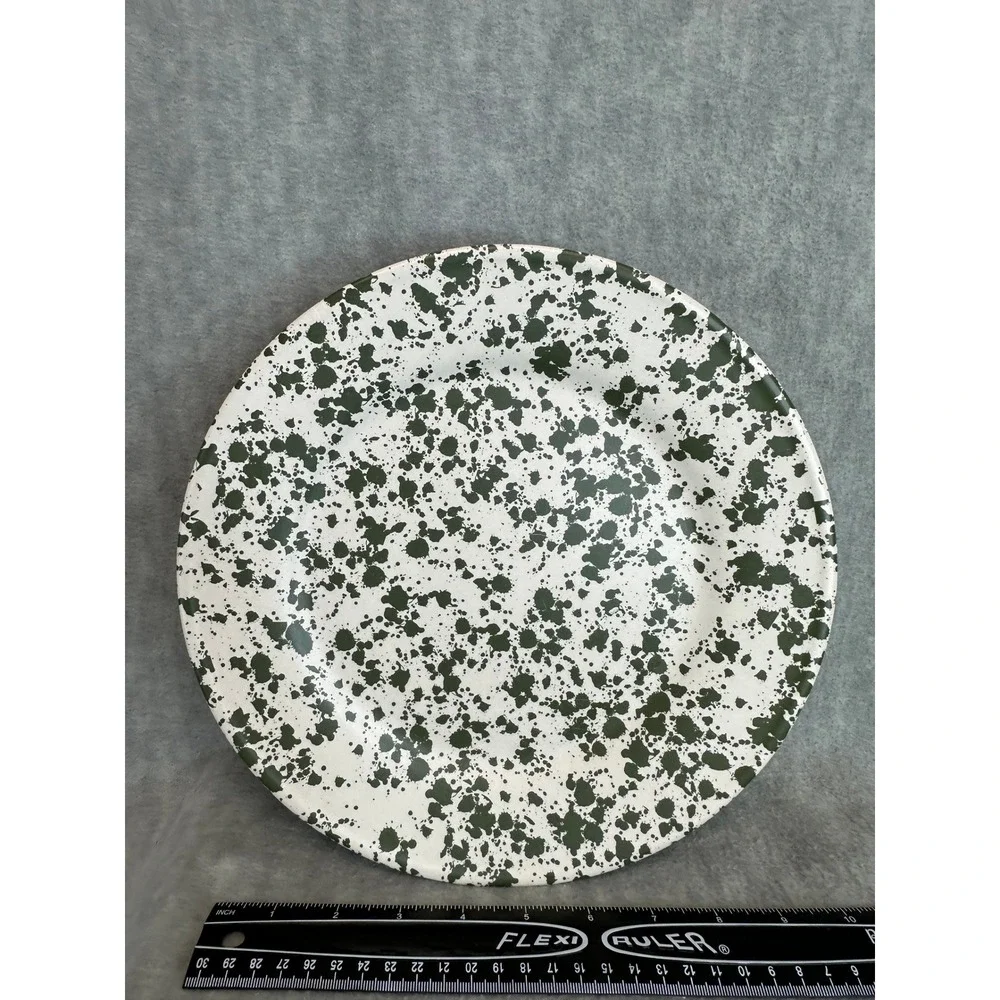 Bee & Willow‎ Melamine Splatter Plate Set White Green Dinnerware 10.5